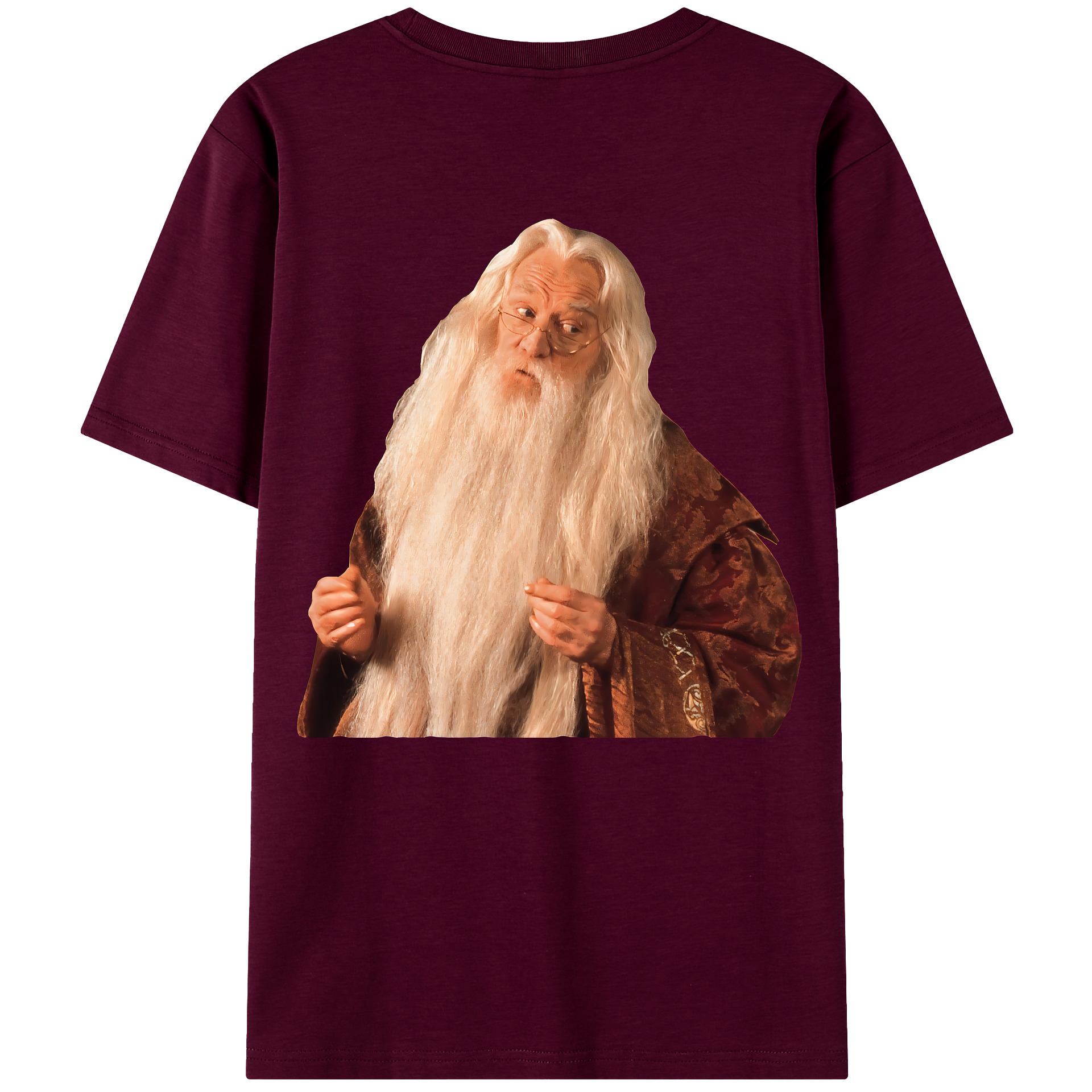 （画像用） Harry Potter ハリー・ポッターシリーズ レディース半袖Tシャツ(バックプリント)